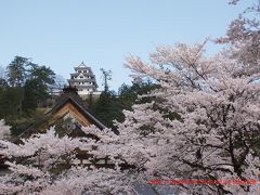 春祭りの郡上八幡