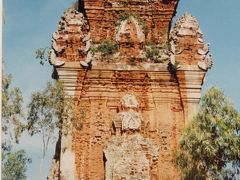 忘れ去られた歴史への旅 チャンパ王国の遺跡を訪ねて? 密林に取り残されて−銅塔