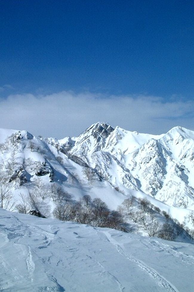 ’０６年２月中旬、友達の属する山男グループに誘われて、五竜・Hakuba４７を滑るスキー合宿に参加させてもらいました。<br /><br />私と同年代の気さくで愉快なグループでした。毎年、２月に山登りのベースとして使っている五竜のペンションに集合し、１週間ほど滞在して強化合宿？を楽しんでおられるそうです。<br /><br />メンバーは東京、神奈川、名古屋、広島のみなさん。<br />ご夫婦２組。最高齢６？才。私は三泊四日で合流しました。私も含めて皆さん御高齢なので、ほどほどに滑られるのかと思っていましたら、朝から夕方までしっかり滑られるのには、ビックリでした。さすが山男！体力が４日もつか我が身が心配・・。<br />足は東京・神奈川組みはバス。広島・名古屋組は車でした。<br />期間：２/１２（日）〜１５（水）<br /><br />写真は五竜岳。