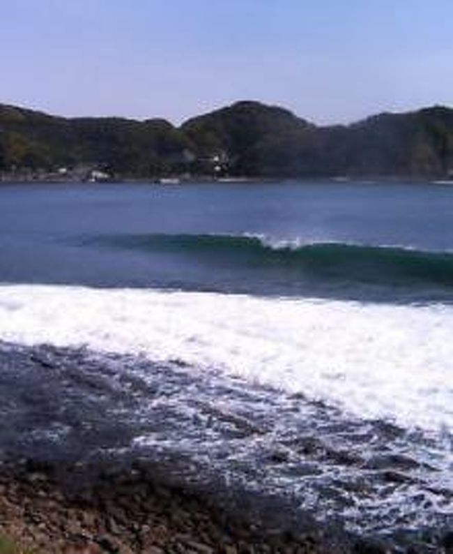 ひまわりのタネ 宮崎 青島 日南 宮崎県 の旅行記 ブログ By フーテンの若さんさん フォートラベル ひまわりのタネ 宮崎 青島 日南 宮崎県 の旅行記 ブログ By フーテンの若さんさん フォートラベル