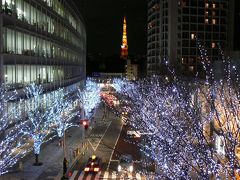 きれいな夜景を求めて汐留、六本木、歌舞伎町を徘徊（ラグビー三昧＆東京夜景の２日旅?）