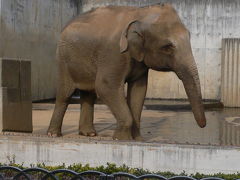 宝石の街 甲府 遊亀公園動物園