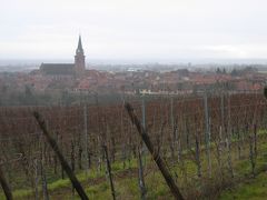 Route des Vins d'Alsace