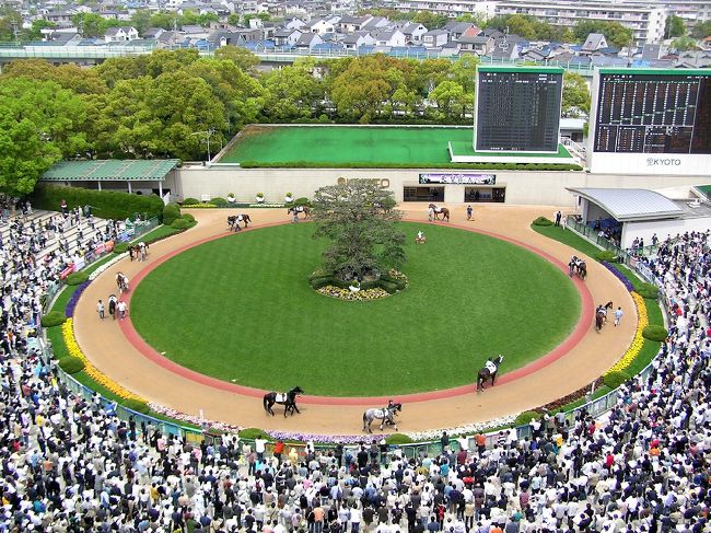 今日は京都競馬場で天皇賞(春)を観戦しました。私が指定席の抽選ハガキを自分と友人２人分の名義で出しまして、友人は２人ともペアで当選。私はなぜか補欠にもならなかったのです。私はとことんツキがありません・・・。でもとりあえず４席確保できたので指定席エリアで観戦することにしました。３冠馬ディープインパクトの出走ということで誰でも入れる一般エリアは大混雑です。指定席エリアは席の数が決まっているので、それほど混雑なくゆったり観戦することができます。<br />ディープインパクトが勝つ可能性が高いのは当たり前なのですが、その他の馬では◎ストラタジェムに注目して馬券を買った私。３コーナーで早くも仕掛けたディープインパクトは最後の直線でぶっちぎりの一人旅。それを追っていたのがリンカーン。更にその後に一頭、白い帽子のストラタジェムが伸びてくるではありませんか！なんとか２着になってほしいという願いから、思い切り絶叫応援してしまいました。しかし、残念ながら３着まで。リンカーンを全く買ってなかった私はオケラでした。いろんな馬券買ったのになー。でもディープインパクトは本当に強い。京都の下り坂をあのペースで下って、ぶっちぎるとは！3200mのレコードタイムを１秒縮めました。やつは本物であるということを、この目で生で見てやっと認識した午後でした。<br /><br />競馬の後は京都駅まで戻ってきて念願の串カツを食べました。残念ながらどっぷりつけるソースがあるような店ではありませんでしたが、なかなかおいしくて満足でした。ただし、何気なく頼んだ「激辛豚串」を齧った途端、辛いというよりは口いっぱいに激痛が走りました。何だこれ！？と思ったのも手遅れ。あの「ハバネロ」で作った殺人的激辛ソースでした。唇はもちろん歯茎まで激痛が走るし、顔はくしゃくしゃで涙がこぼれてきました。一緒に飲んでいた友人たちは爆笑してるし、まさにディープインパクトな夜になってしまいました。<br />今は、夜行バスで水戸に帰る友人につきあって、京都駅近くのマンガ喫茶で日記を書いてます。明日は一人旅に戻って、大阪南部の看板探しドライブです。いやーいいゴールデンウイークです。