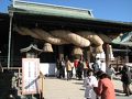 今年初めての九州・福岡への旅その?宮地嶽神社へ三社参り