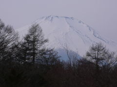 河口湖　出張（会議＆社員慰安会）旅行記（２００７年１月）