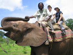 Elephant Ride @ Victoria Falls