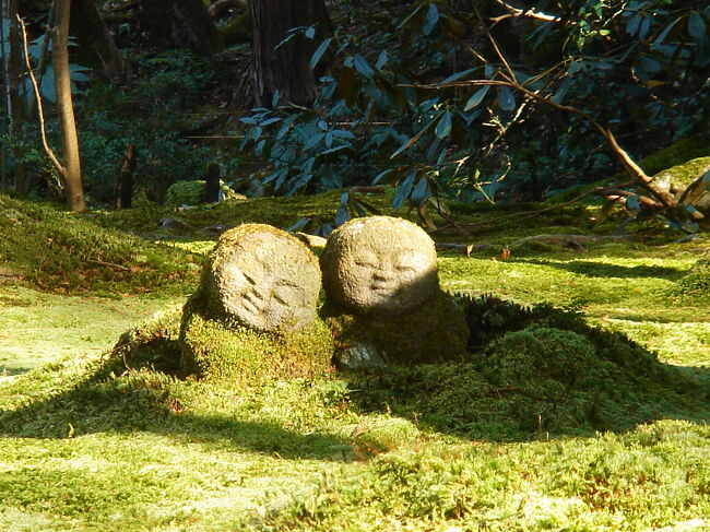 今週は前回訪問した高山寺とは対称的な場所にある三千院。<br /><br />先々週に満席で入れなかったイタリアンレストランを１３時予約していたので、休日にも関わらず会社に行くのと同じ時間に家を出発です。<br /><br />でも、早起きしたほうが一日が長く感じられてお得感がありますよね？<br />