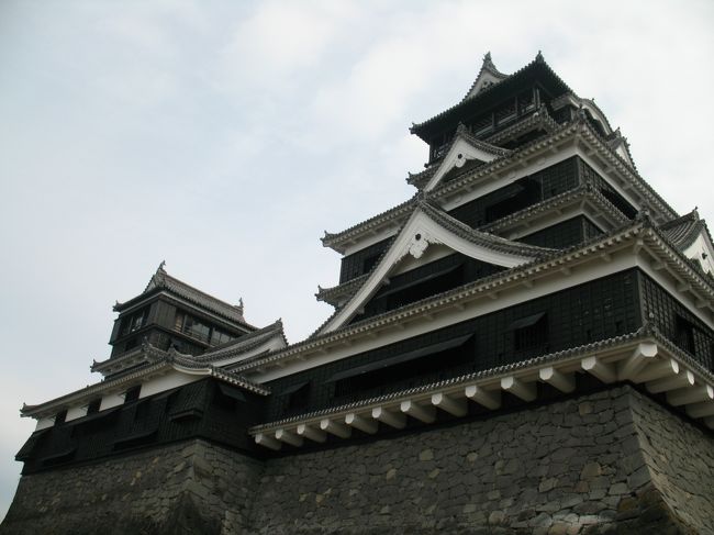 今年は加藤清正が熊本城を築城してから４００年に当たるということでお城の復元にあわせていろんなイベントが予定されている模様です<br />お正月に加藤大社にお参りしたときはまだまだ工事中のところが多く本格的なイベントは３月からとのことですが、きれいに整備されて準備は進んでいるようでした