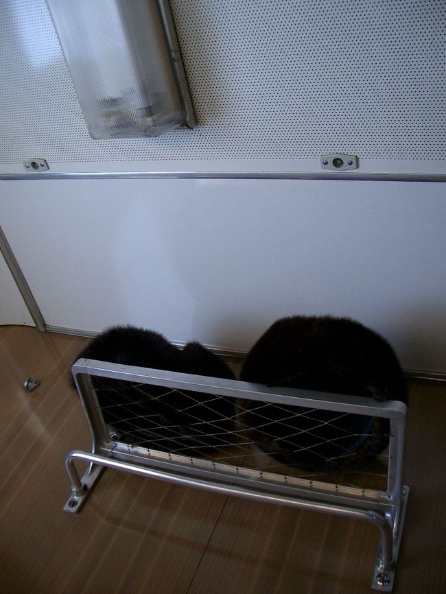 高校時代にAという同級生がいた。とにかくよくしゃべる男で、僕の頭の中では「話す=A」という式ができあがっていたのだろう。シベリア鉄道初めての夜に見た夢の話である。ウラジオストクからイルクーツクへ向かう列車。雪に覆われた遠い土地。Aとは卒業以来ほとんど交流がない。その彼が突然夢に現れた。僕は「久しぶり」と声を掛けるのだがAはこっちを向いたまま口をぱくぱくとするだけ。しばらく彼を見ていると、なんらかの理由で彼の声が出なくなってしまっているらしい。それを知った時、僕は大泣きした。「よくしゃべるAが、声を出すことができないなんて」と、涙が止まらない。「ロシア語が話せない。コミュニケーションが取れないのが悔しい。悲しい」という痛烈な思いがその夢を見させたのだと思う。<br /><br />同室で一晩過ごした男3人は、朝9:00に着いた駅で列車を降りていってしまった。ひとりぽっちのコンパートメントはとてもさみしい。彼らは「パカ」と言って去っていった。日本で旅立つ前に、付焼刃的ロシア語会話教本を開くと「プリヴィエット」「パカ」は「親しい人の間での挨拶」と書いてあった。「今回の旅では絶対に遣うことがないんだろうな」と思いながら読み飛ばしていたが、まさか自分が言われることになるとは。昨夜、サーモン、イカ、ピスタチオをつまみながら一緒にビールやウォッカを飲み、ロクに会話もできない異国人を仲間にまぜてくれた彼らの温かさを思う。ロシア人はイイ奴らばかりじゃないか。英語を少しだけ話すアンドレイが、降りる前に注意をする。「ロシア人全員がイイ人なわけではない。全員全部を信用するな」と。少ない語彙で、そういったことをひとりの異国人に対して言ってくれる。彼の心配してくれた気持ちを思うと、コンパートメントでひとり、じんときた。