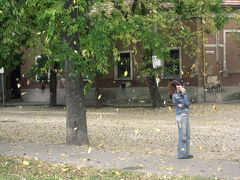 2006年ハンガリーとルーマニア旅行第15日目(2)ケチケメート：駅前とラーコーツィ通り
