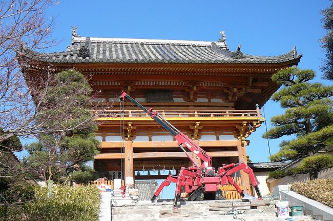 　あまりにも暖かいのでじっとして居られず、西国第24番札所、中山寺と西国22番札所、総持寺を参拝して来ました。<br /><br />補陀洛山・総持寺<br />　総持寺の千手観音様は、亀に乗った観音様として有名で、子育て観音様、火除け、厄除け観音様と呼ばれています。また、開山中納言山蔭卿は本尊造立に際し、千日間に亘り料理を御供えした縁により庖丁道の祖として、祀られています。毎年4月１８日には、中納言様の後寶前に於いて、庖丁式が行われます。