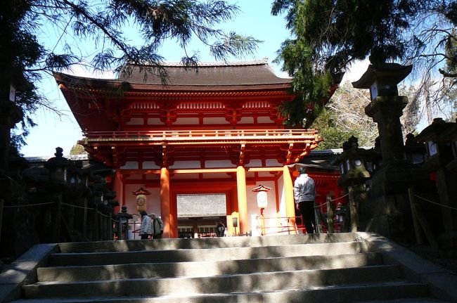  あまりにも暖かいのでじっとして居られず奈良市内観光に出かけました。　興福寺→猿沢池→春日大社→東大寺<br />　<br />春日大社<br />　和銅3年（710）藤原不比等が平城遷都の際、藤原氏の氏神を祀ったのが起こりとされています。神護景雲2年（768）今の地に社殿を造営。興福寺と同様、藤原氏が勢力を伸ばすにつれ盛んに社殿の造営が行われ、平安後期に現在のような規模を整えました。皇族や貴族の春日詣もさかんとなり、また中世以降になると武家や庶民にも信仰がひろまり、全国各地に御分社がつくられるまでになりました。“万燈籠”で知られるさまざまな形の釣燈籠、石燈籠の多くは庶民の寄進によるものだということからも、庶民信仰の深さを伺い知ることができます。毎年2月節分の日と8月14･15日にすべての燈籠に火を入れる“万燈籠”の行事が行なわれ、その幻想的な美しさに、多くの参拝客が訪れます。