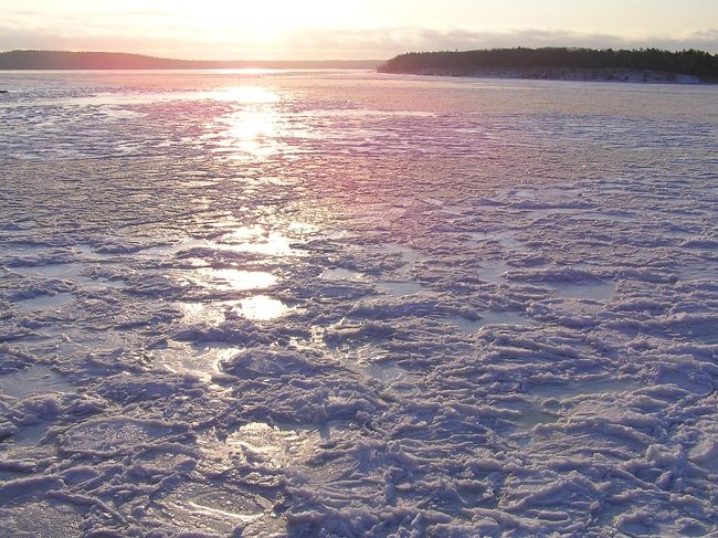 流氷が知床半島を廻り、根室海峡を埋めるのはもう少し先。<br />でも、岸辺から海は凍り始めている。