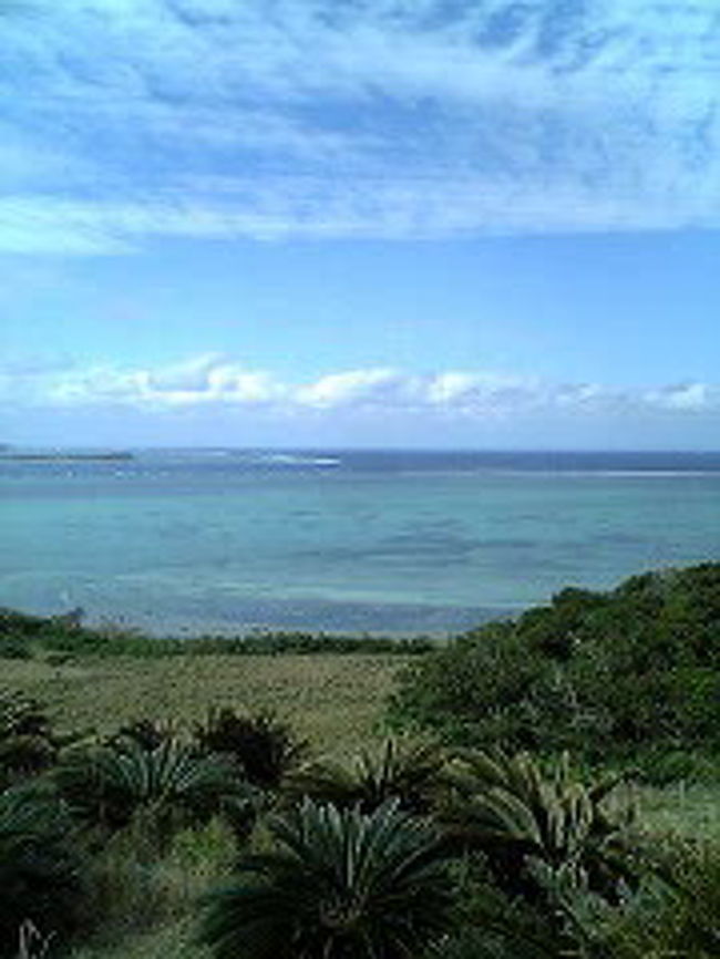 2006-2007年のこの前の年末年始は、海外に行きたかったけど同行者がちょっと特殊な職業で海外渡航の許可がおりず、沖縄離島旅行に変更したのです。<br />でも、良かったですよ。いろいろあったけど...。4泊5日、石垣島に2泊、小浜島に2泊、波照間にも日帰りで行って来ました。<br />波照間へは行きは船（揺れは激しいジェットコ−スタ−並み・二人とも吐く一歩手前でした）帰りは飛行機...。船はよ---く欠航するから飛行機にしたほうがいいかも..と聞いたので帰れなくなると悪いから飛行機予約したのに、エンジントラブルで来ない！！！！！　...その日予約していたホテルには泊まれなくなりました。かなり撃沈な大晦日・年越しでした...。<br />しかし！小浜島ではラグ−ンスイ−トビラアラマンダに宿泊！これがまた良かった！！！全室スイ−トル−ムで（その中でも4タイプレベルがある）　パンフレットや旅行雑誌で観るよりはるかに、はるかに良かった！期待以上でした。良くない口コミばかり目にしていたので正直心配でしたが、全く落ち度はありませんでしたよ。料理は確かに高いけど...でもどれもおいしかったし！<br />アレ持ってきて、コレ持ってきて！これ追加、アレも置いといてちょうだい...と、す---ぐスタッフがかけつけてくれてまるで執事さん！？　ル−ムサ−ビスも高いけど最高においしかった！やあ--ほんとに至れり尽くせりで2日間私達を姫にしてくれました！！！！（スタッフの皆さん本当にありがとうございました！）　小浜島はＮＨＫ連続ドラマ「ちゅらさん」の舞台となった島ですから、ちゅらさんロケ地を軽く観て回ったりもしました。　<br />　