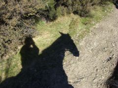 今更?! ロードオブザリングのロケ地に行きたい！【5】 Queenstown?