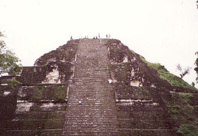 グアテマラの北部のペテン州のジャングルに埋もれるティカルは間や最大そして最古の遺跡として知られている。　紀元３００−８００年にはペテン一帯のマヤの都市を従える大祭祀センターとして栄えた。　人口は１万人を超えていた。
