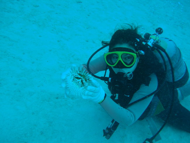 2日目もダイビングを楽しみました。ダイビングは午前中に切り上げてました。午後は”鯨”を見に行きました。<br />☆中の浜　9：21-10：07　最大水深17ｍ（平均13ｍ）　20度<br />　ウコンハネガイ　ニシキフウライウオ　イソギンチャクエビ<br />☆ナングチモドキ　10：56-11：39　最大12ｍ　平均9ｍ　19度<br />　ウミヘビ　シャコガイ　ハリセンボン<br /><br />WHALES　WATCHING<br />　2時間　場所はトンバラ付近です