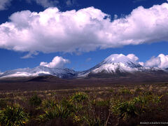Tongariro National Park