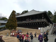 久し振りの奈良（奈良公園・東大寺周辺）散策　?　（２００７年２月）