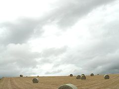 北海道　北東北旅行！　?富良野　美瑛～