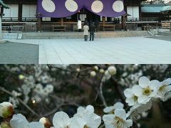 初めて参詣した靖国神社と２度目の武道館。（２００７年早くも３度目の東京　日帰り旅行?）