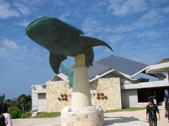 花咲く沖縄へ　沖縄美ら海水族館編ー１