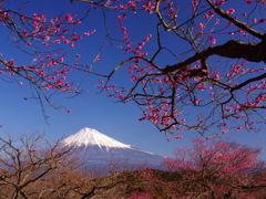 「富士山ぐるり紀行」