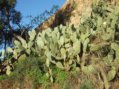 頭ん中フル稼働！ハニムーン　in　エスパーニャっ♪　?マラガ　その２　