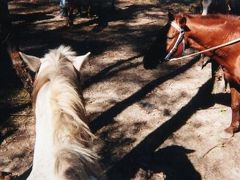 初海外　オーストラリア・小学生のホームステイ