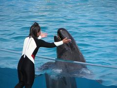 花咲く沖縄へ　美ら海水族館編ー?