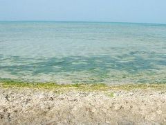 美ら島紀行、癒しの竹富島一人旅☆DAY３