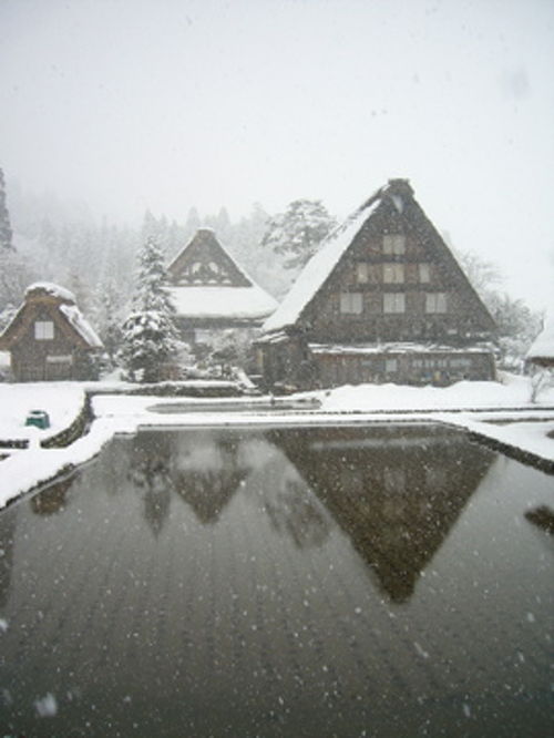 雪の白川郷』白川郷(岐阜県)の旅行記・ブログ by ralphinさん【フォートラベル】