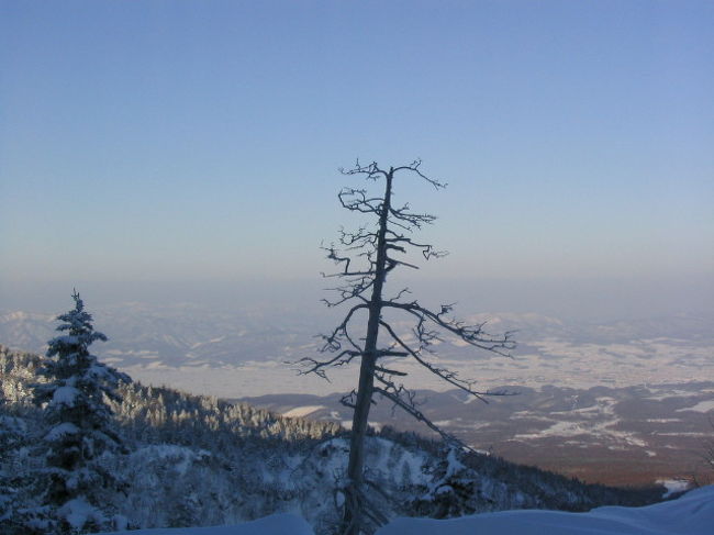　2007年2月21日（水）〜23日（金）まで行って来ました。<br />今回で24回目ですが、冬はもっぱら一人旅。『国内旅行にいってきま〜す』には『釧路にも行きます』と書きましたが、場所を変更して『十勝岳温泉』と『十勝川温泉』の『山』『川』で温泉三昧しました。そして、長年の夢が２つも叶ってしまいました。<br /><br />〜行程〜<br />2/21　神戸空港→新千歳空港→札幌経由→旭川→上富良　　　　野→〈町営バス〉→十勝岳温泉　　宿：湯元凌雲閣<br /><br />2/22　宿→上富良野→→富良野→→帯広→→→十勝川温泉　宿：笹井ホテル<br /><br />2/23　宿→→帯広駅→→帯広競馬場→→帯広駅→→新千歳空港　　　→神戸空港