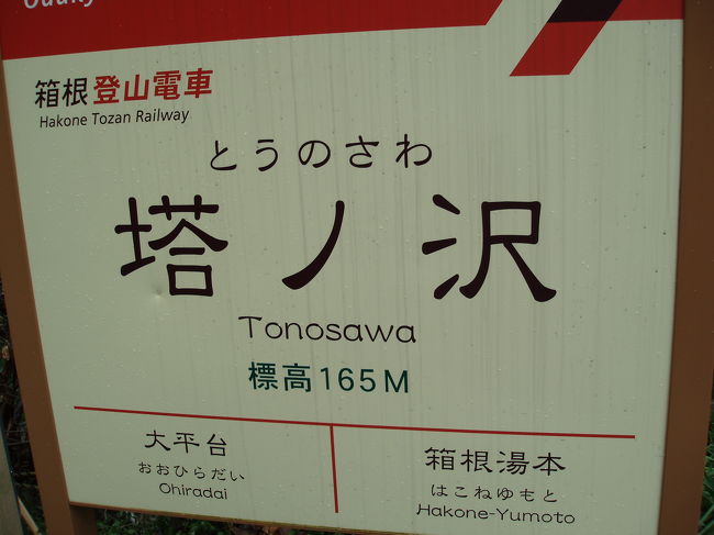 友人と二人で行ってきました。<br />日曜日の朝、友人宅のある千葉から出発したのですが、その日は「東京マラソン」の日だったのですね。<br />首都高から、人人人の群れを目撃しました。<br />特に渋滞にも巻き込まれることもなく、がっちがちの計画を立ててたわけでもなかったので、海老名ＰＡで名物のメロンパンを食べたり、箱根登山列車に乗ってスイッチバックを体感したり、箱根小涌園の「ユネッサン」でこれから温泉に宿泊するっていうのに、コーヒー風呂やワイン風呂に浸かりぼけーっとしてきました。<br />さて、温泉ですが塔ノ沢温泉にある「四季を味わう宿　峠の茶屋」（名前違うかも）に宿泊しました。<br />今回の温泉宿のテーマとしては、「のんびり大人の宿を楽しむ」ということで、朝夕部屋食で探しました。<br />温泉は露天が２つ、内風呂は１つでした。<br />お風呂は、もうちょっと大きいほうがいいかな。と思ったのと、道路から丸見えのせいなのか塀が高くて、景色を味わうことが出来なかったのは残念だったかな。<br />しかし、館内は和風のなかにモダンな感じが調和されてて、何ともいい感じ♪<br />さらに、料理も凝った料理が多く味はもちろん目でも楽しめました。これまでバイキングばかりだったので、これには大満足でした。曇りときどき雨という生憎の天気でしたが、十分楽しめました。今度は暖かい時期に行きたいですね。（とにかく寒かったのです）