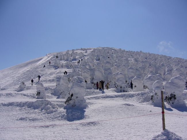 2月21.22日と蔵王温泉スキー場に行ってきました。<br />雪が少なく、樹氷ができていない。<br />と聞いていましたが、素敵な樹氷で感動しました。<br />雪は去年の半分くらいだそうですが、天気にも恵まれ<br />最高のｽﾉﾎﾞｰ旅行になりましたよ。