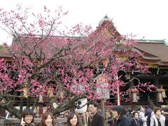 北野天満宮の梅花祭