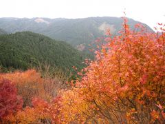 紅葉ドライブ・比叡山。