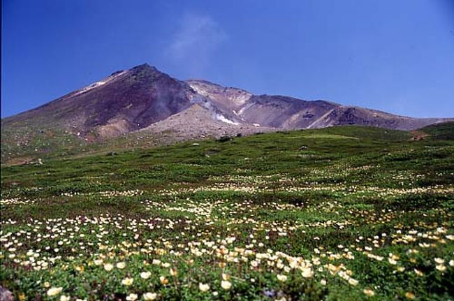 　北海道の中心部にある大雪山には、様々な山があります。その主峰である旭岳には、ロープウェイを利用することで日帰り登山も可能ですが、それではこの大雪山の魅力のほんの一部しか味わえないだろうと僕は思いました。そこで、旭岳温泉から旭岳を経て、北海岳、白雲岳を踏破して、トムラウシまでの縦走を試みたのです。トータルで３泊４日の行程で、途中は避難小屋泊りかあるいはテント泊しか選択肢がありません。そのため、３０キロを超える荷物を背負って歩くというと当時の自分としては未知の経験だったのです。今思い返せば、よく歩くことができたなあと思います。<br />　旭岳までは単調な登りが続きますが、そこからは比較的平坦なコースに、多くの高山植物が咲き乱れていて、その美しさに言葉を失いました。また、まだ多くあった残雪が不思議な模様となって、風景にアクセントをつけていました。また、これから目指すトムラウシを遥か彼方に見ながら歩くといった感じでした。<br />　その他に別の日に黒岳から北鎮岳を経て、裾合平に行ったり、あるいは当麻乗越から愛山渓温泉まで歩いたりとたくさんのコースを歩きましたが、いずれも天気がよく、楽しいトレッキングを味わうことができました。