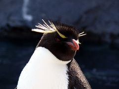 2007/3　旭山動物園と雪の丘