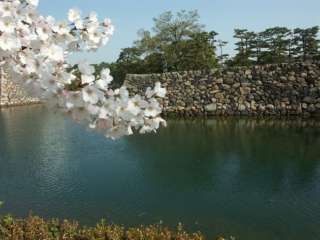 結婚○十年、<br />お互い良く我慢をしたもので<br />記念に瀬戸内の桜を見に行こうと<br /><br />勝手な理屈をつけて四国へ<br />夜行寝台車で向かったのは<br /><br />平成１６年４月桜の頃でした。<br />http://www.city.takamatsu.kagawa.jp/kaihatu/kouen/ryokuchi/tamamo_park.html