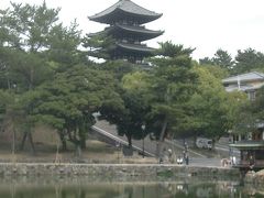 興福寺で藤原家の繁栄の跡をしのぶ