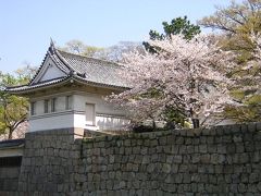 桜の讃岐路　丸亀城
