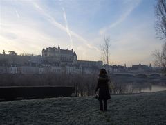 母娘フランス旅行記(ロワール地方)