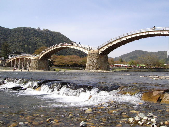 日本三名橋のひとつ山口県岩国市の錦帯橋へ。<br />あまり古い橋に関心は無かったが、錦帯橋の美しい曲線美に感動！<br />錦帯橋周辺もバッチリ観光できました。桜舞い散る錦帯橋です。