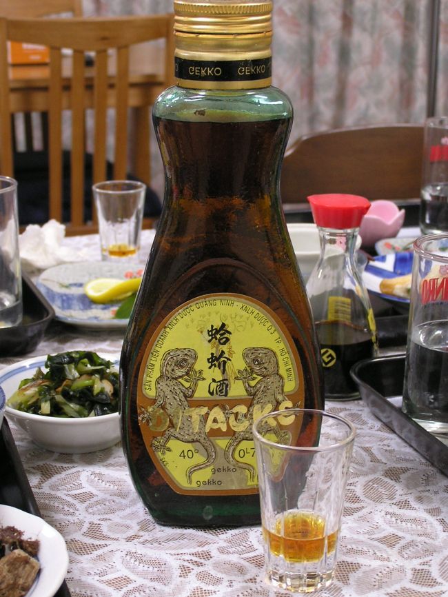 八丈島の焼酎飲み放題の民宿で、「ヤモリ酒」を飲んできました