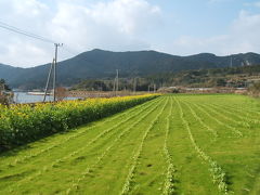 鹿児島はもう春でした！