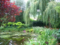 モネの愛した睡蓮の池