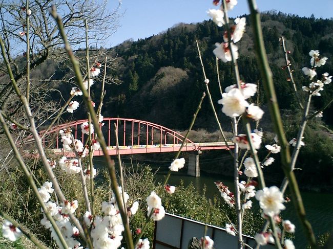 梅で有名な、月ヶ瀬。<br />温泉もあるという情報を聞きつけて、以前から、一度行こうと思っていた月ヶ瀬に行ってきました。<br />お天気も最高でした。<br />久しぶりに、のんびり・ゆっくりとした一日になりました。