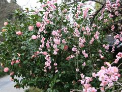 御調八幡宮（みつぎはちまんぐう）・やはた川自然公園